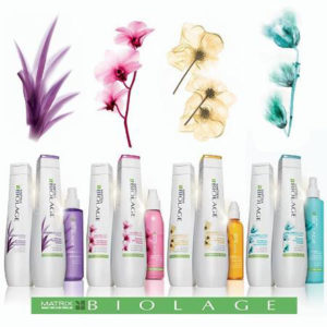 matrix-biolage-products